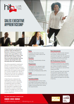 Sales Executive Apprenticeship facesheet